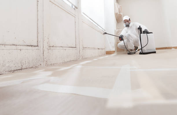24/7 Emergency Commercial Mold Remediation experts in Wheeling, IL