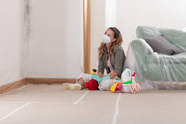 Reliable Commercial Mold Remediation contractor in Wheeling, IL by WQB Mold Removal